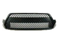 Toyota 53112-02A50 Grille, Lower