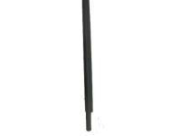 Toyota 75720-WB002 Belt Molding, Driver Side