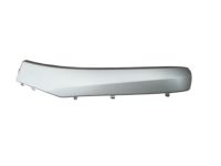 Toyota 74611-47040-B0 Pull Handle, Driver Side