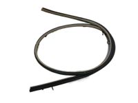 Toyota 62312-AC071-A0 Opening Trim, Driver Side