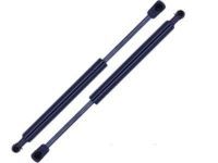 Toyota 68950-02051 Lift Cylinder, Passenger Side