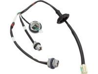 Toyota 81555-52D00 Socket & Wire, Rear