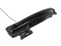 Toyota 69202-52010 Handle, Outside Frame, Driver Side