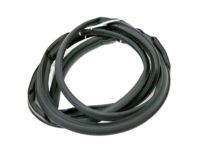 Toyota 67862-47010 Door Weatherstrip, Driver Side