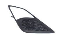 Toyota SU003-01516 Bezel, Passenger Side