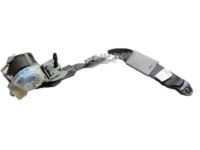 Toyota 73360-0T010-B1 Outer Belt, Gray Toyota 73360-0T010-B1 Outer Belt, Gray