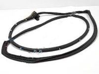 Toyota 67861-60150 Weatherstrip, Front Door, Passenger Side