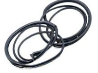 Toyota 62312-12220 Weatherstrip, Front Door Opening Trim, Driver Side