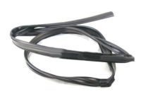 Toyota 68141-60042 Run Channel, Passenger Side