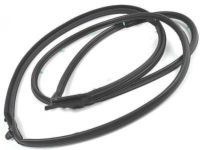 Toyota 67861-33041 Door Weatherstrip, Passenger Side
