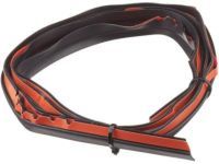 Toyota 53119-0C050 Grille Assembly Protector, Front