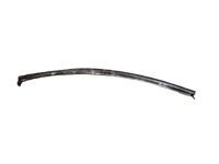 Toyota 75552-20510 Drip Molding, Driver Side