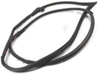 Toyota 67862-60150 Door Weatherstrip, Driver Side