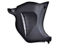 Toyota 62101-06120-C0 Cowl Trim, Black, Passenger Side
