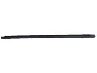 Toyota 68160-04020 Belt Weatherstrip, Outer Passenger Side