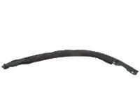 Toyota 63221-AA020 Guide, Passenger Side