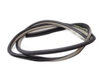 Toyota 62312-48060-B0 Weatherstrip, Front Door Opening Trim, Driver Side