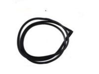 Toyota 62312-04020 Door Weatherstrip, Driver Side