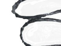 Toyota 67861-17031 Weatherstrip, Passenger Side