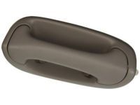 Toyota 74630-0C010-B1 Pull Handle, Passenger Side