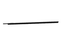 Toyota 75730-33040 Belt Weatherstrip, Passenger Side