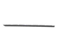 Toyota 75710-14250 Belt Molding, Passenger Side