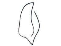 Toyota 75531-48040 Reveal Molding, Front