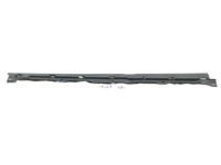 Toyota 75860-19175 Rocker Molding, Driver Side