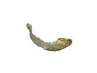 Toyota 47611-14030 Lever, Parking Brake Shoe, Passenger Side