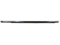 Toyota 75710-AA050 Belt Molding, Passenger Side