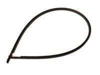 Toyota 75556-12120 Drip Molding, Center Driver Side