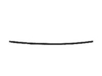 Toyota 75533-35070 Reveal Molding, Front