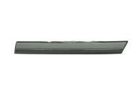 Toyota 75742-60090 Body Side Molding, Outside Driver Side