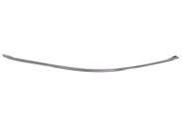 Toyota 75753-07020 Upper Molding, Passenger Side
