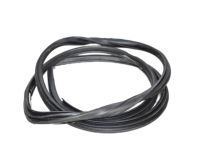 Toyota 62312-06210 Weatherstrip On Body, Driver Side