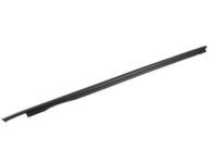 Toyota 68163-0C031 Belt Molding, Outer Passenger Side