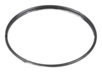 Toyota 35789-30020 Race, Thrust Bearing (For Stator Shaft)