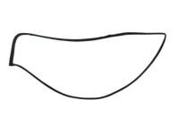 Toyota 67861-42041 Door Weatherstrip, Passenger Side