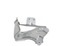 Toyota 76901-0R010 Protector, Gray, Passenger Side