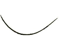Toyota 75556-33010 Moulding, Roof Drip Side Finish, Center Driver Side