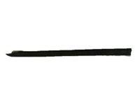 Toyota 66248-04050 Protector, Passenger Side
