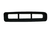 Toyota 53112-60030 Grille, Radiator, Lower Passenger Side