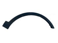 Toyota 75601-42130 Moulding, Front Fender, Outside Front Passenger Side