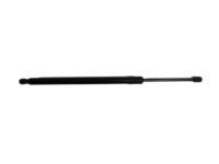 Toyota 68908-0W101 Lift Cylinder, Driver Side