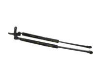 Toyota 68960-02041 Lift Cylinder, Driver Side