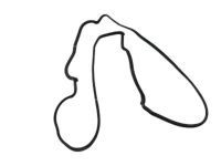 Toyota 11213-0P030 Valve Cover Gasket, Passenger Side