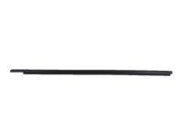 Toyota 75720-12820 Belt Molding, Driver Side