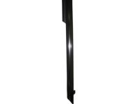 Toyota 75720-07020 Belt Molding, Driver Side