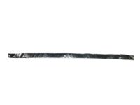 Toyota 75985-0T010 Black Out Tape, Passenger Side