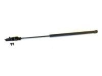Toyota 68950-80067 Lift Cylinder, Passenger Side